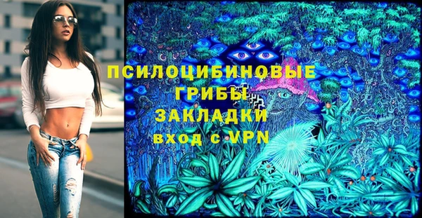 spice Алексеевка