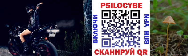 Псилоцибиновые грибы прущие грибы  omg рабочий сайт  Рубцовск  где купить наркотик 